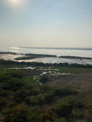 A  RiveR ReTreaT Vacation rental in Gujarat