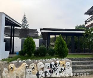 JB's Farm and Resort Chalet in Nasugbu