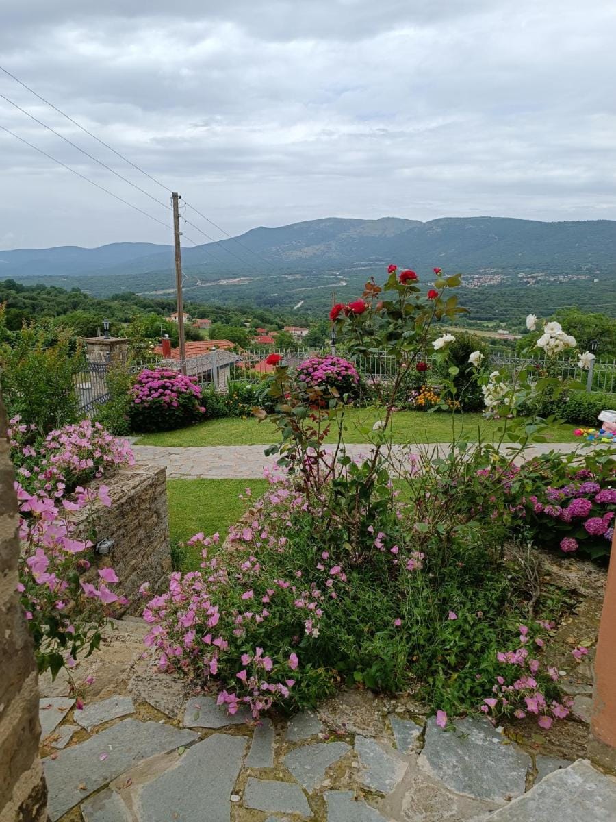 ΑΡΧΟΝΤΙΚΟ ΜΑΝΤΕΙΟ Apartment in Peloponnese, Western Greece and the Ionian