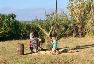 Casa Cao Verde Peaceful Country retreat Vacation rental in Lisbon District