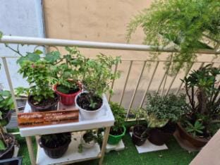 Mị HOMESTAY SÀI GÒN (HỒ CHÍ MINH) Vacation rental in Ho Chi Minh City