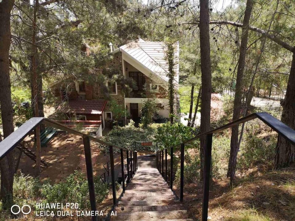 VILLa ENRIETTe - Panoramic Mountain Retreat in Pano Platres, Cyprus Villa in Limassol District