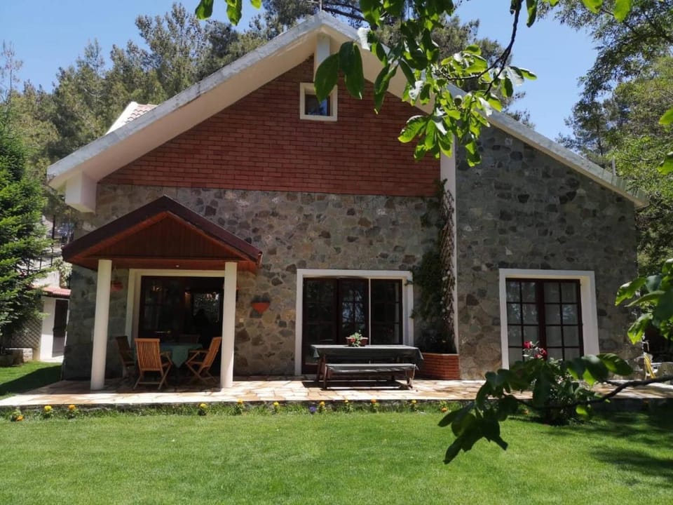 VILLa ENRIETTe - Panoramic Mountain Retreat in Pano Platres, Cyprus Villa in Limassol District