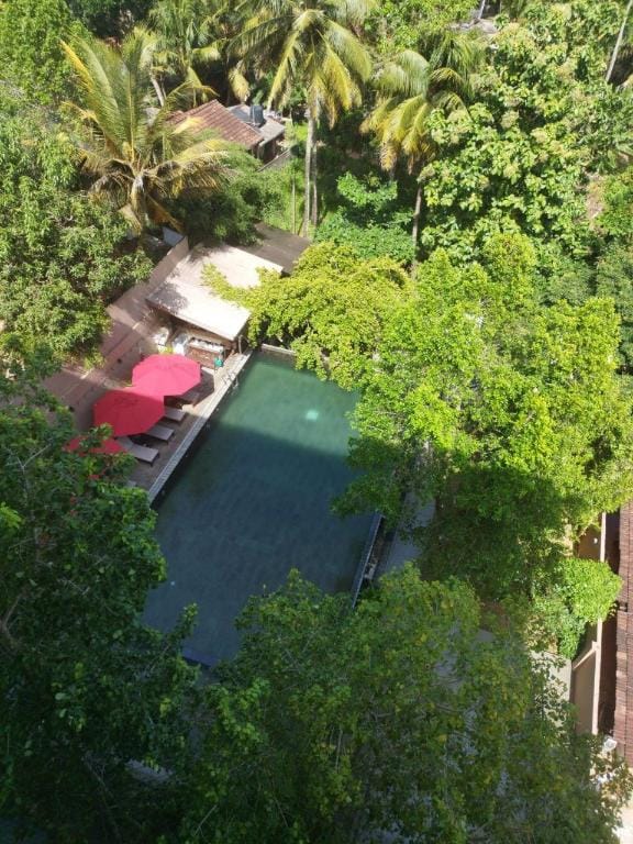Penthouse Hostel Mirissa Hotel in Mirissa