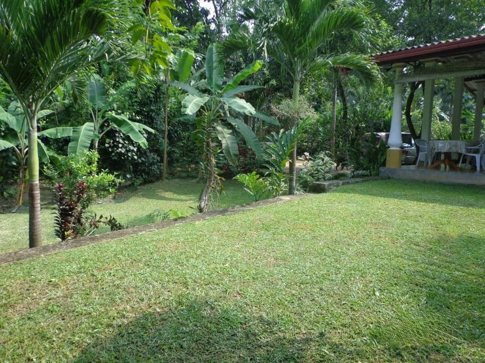 Airport Green Villa Hotel in Negombo