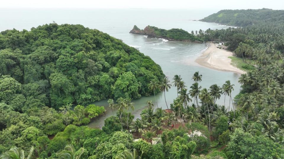 Nivtis Hornbill Nest Hotel in Maharashtra
