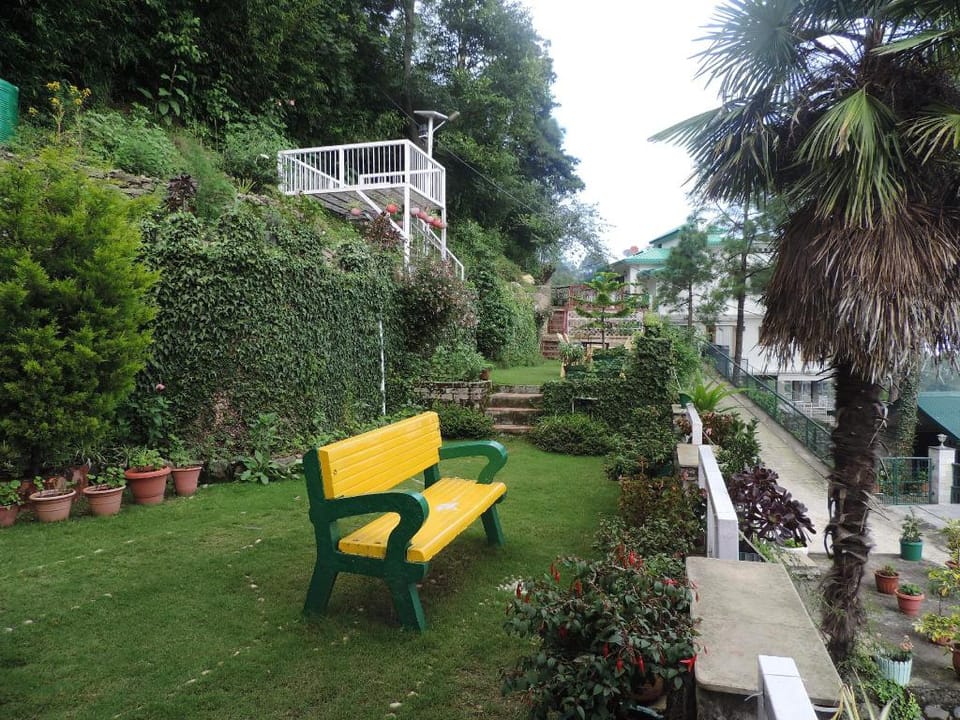 The Majestic Cedar Hotel in Himachal Pradesh