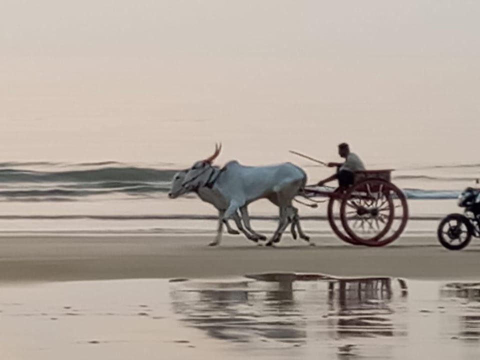 Nikhil's Inn Hotel in Maharashtra