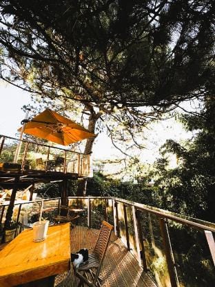 Lacasa De Mendez Vacation Home Vacation rental in Baguio