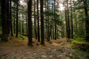 Offbeat Pulga, near Kasol by PACK Vacation rental in Himachal Pradesh