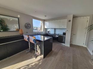 Panoramic Pondview Penthouse Vacation rental in London Borough of Hackney