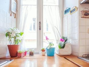 A Secret Corner - Pantheon Navona Colosseum Forum Trevi Vacation rental in Rome