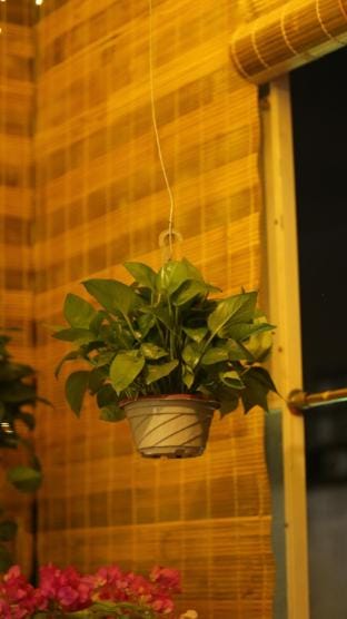 Vietnam Travelers Home 1 with Cozy Private Balcony Vacation rental in Hanoi