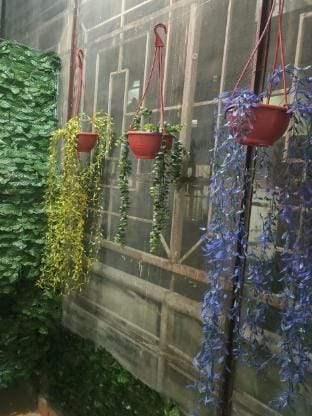 Luxury & Peaceful stay in Omaxe Vacation rental in Uttar Pradesh