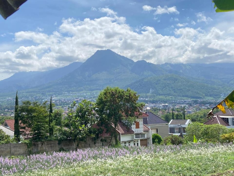 Villa Pring Lima Villa in Batu