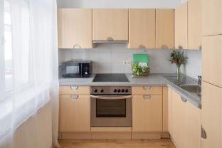 Elegantes 2-Zimmer-Atelier Apartment in Vienna