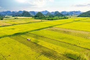 Khu Du Lịch - Sinh Thái Cánh Đồng Vàng Farm Stay in Laos