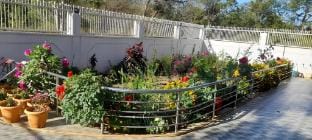 Amarkantak Houses Vacation rental in India