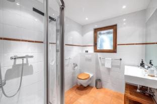 Chalet Papin Chalet in Riddes
