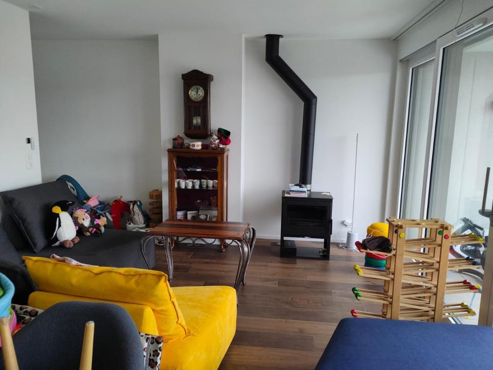 Chez Elsa et Agou - chambre chez l'habitant Vacation rental in Fribourg, Switzerland