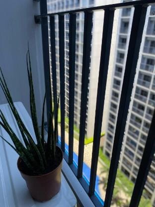AJ Staycation Shore 2 Apartment in Pasay