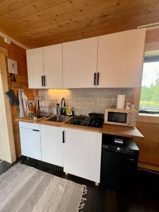 Luxury Off-Grid House Vacation rental in Sweden