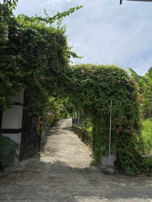 Nhà vườn 2000m2 trên đường đi lên núi thần tài Country House in Laos