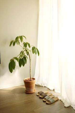 Pyoseon Mansion A103 Vacation rental in South Korea