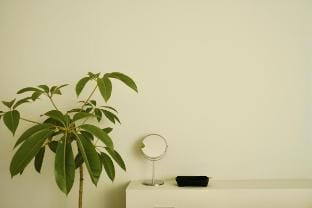 Pyoseon Mansion A102 Vacation rental in South Korea