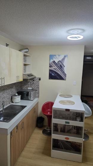 ONE OASIS RESORT CONDOMINIUM  - It's A Studio Unit Apartment in Lapu-Lapu City