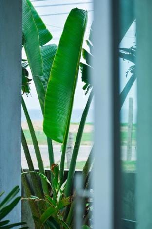 Home 2 bedrooms right at the beach Vacation rental in Vietnam