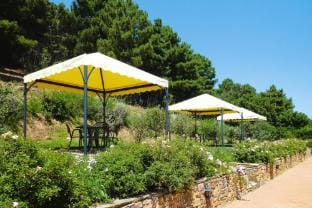 Estate in Monte Serra with Pool  Olive Trees Apartment in Tuscany