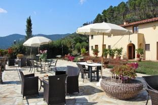 Estate in Monte Serra with Pool  Olive Views Apartment in Tuscany