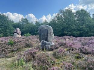 Cozy holiday home in a lovely environment. Vacation rental in Drenthe (province)