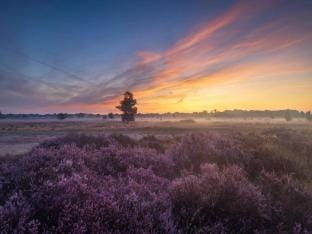 Cozy holiday home in a lovely environment. Vacation rental in Drenthe (province)