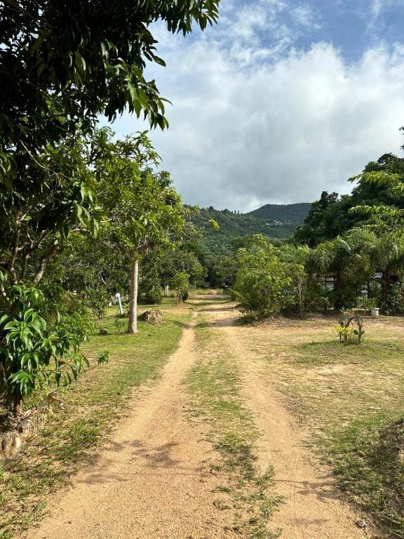 Johmthong Bungalow Hotel in Ko Samui