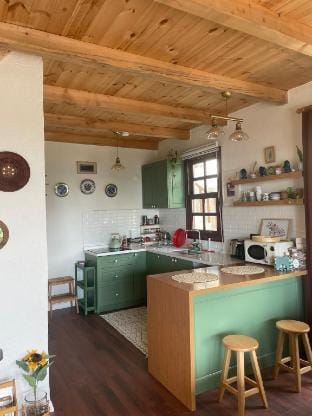 Pukina Tiny House Villa in Georgia