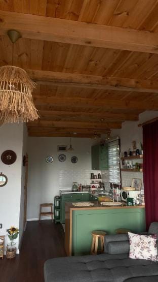 Pukina Tiny House Villa in Georgia