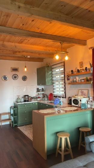 Pukina Tiny House Villa in Georgia