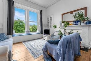 Bright and spacious flat overlooking the Meadows Vacation rental in Edinburgh