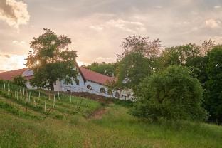Apartment with a terrace No. 1 Vacation rental in Czechia