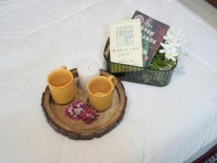 Paradise Island - A Luxurious BNB near Airport Vacation rental in Punjab, India