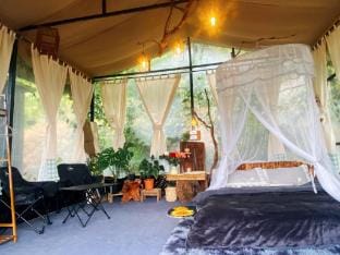 Mây Glamping Đà Lạt Luxury tent in Dalat