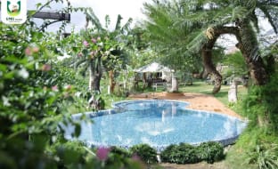 Upes Garden Homestay Bien Ho Vacation rental in Vietnam