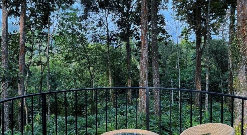 The Edens Glamp Munnar Luxury tent in Kerala