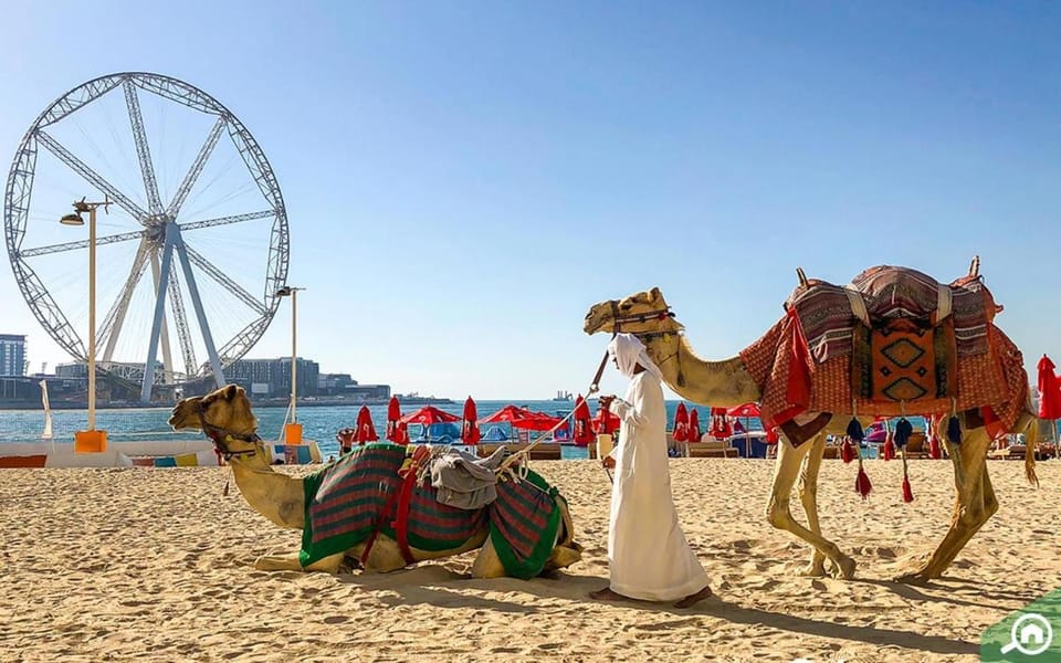 Royal Oceanic in JBR by HAPPY SEASON Apartment in Dubai