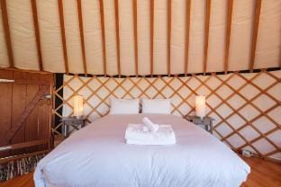 Awaawa Yurts (Tāne) - Our Island Vacation rental in Auckland Region