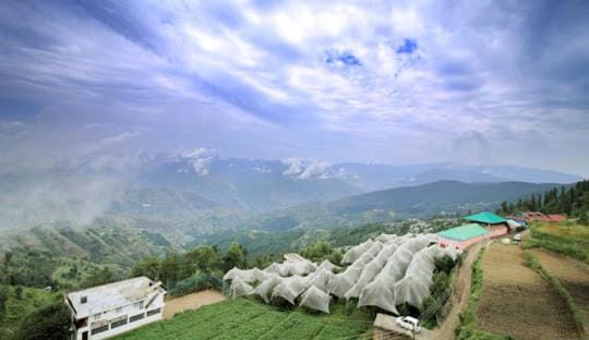 Sunrise Homestay Stay Vacation rental in Himachal Pradesh