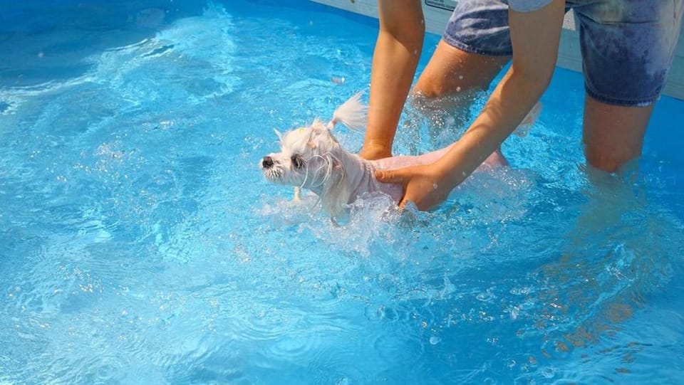 Varadero Pension Taean Bed and Breakfast in South Korea