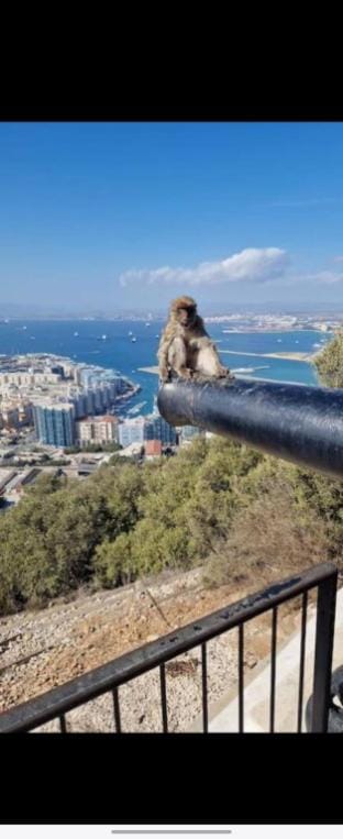 3 bed Ocean Spa Plaza Luxurious flat Apartment in Gibraltar